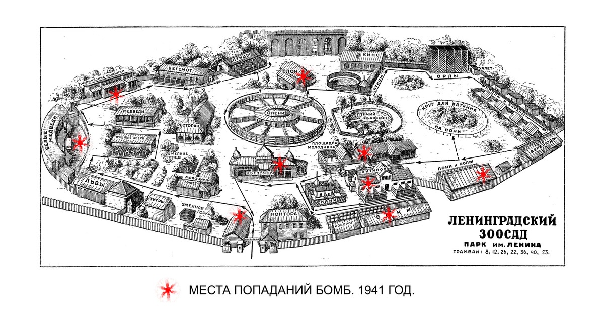 Ленинградский зоопарк в блокаду