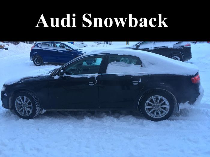 Audi Snowback