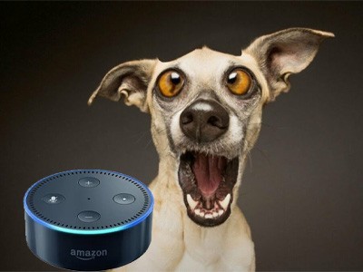 Amazon Alexa научился лаять для охраны жилища - Amazon, Alexa, Лай, Охрана