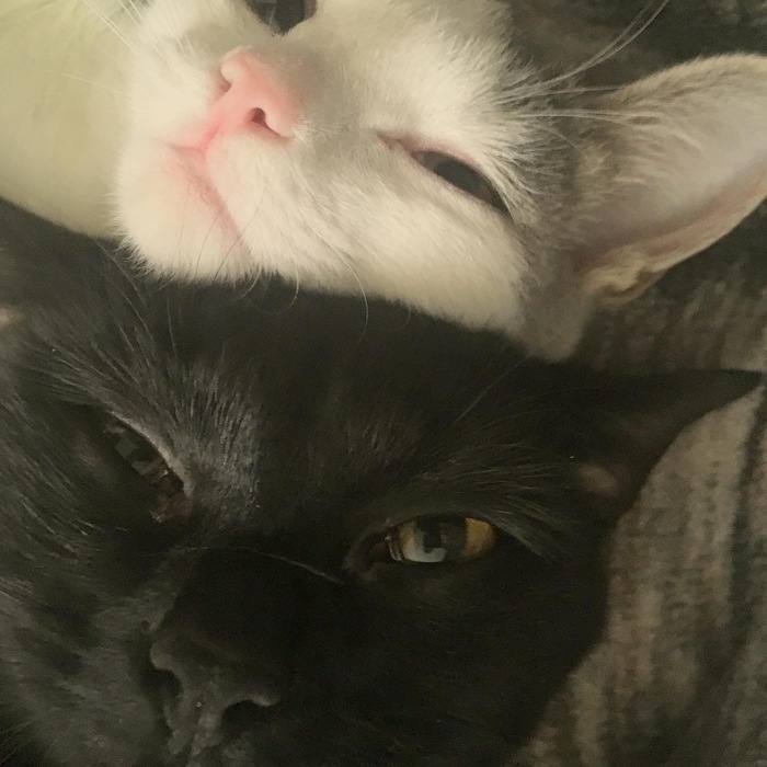 ���� � ����� ����� ��������� ������:)