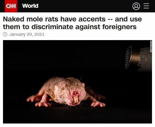 Post #7990024 - Naked mole rats, Racism, Interesting