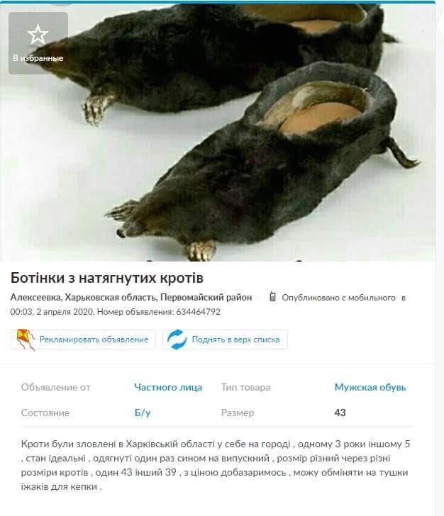 Shoes from hedgehog carcasses - Mole, Hedgehog, Shoes, Olx, Funny ads, Longpost, Ukrainian language