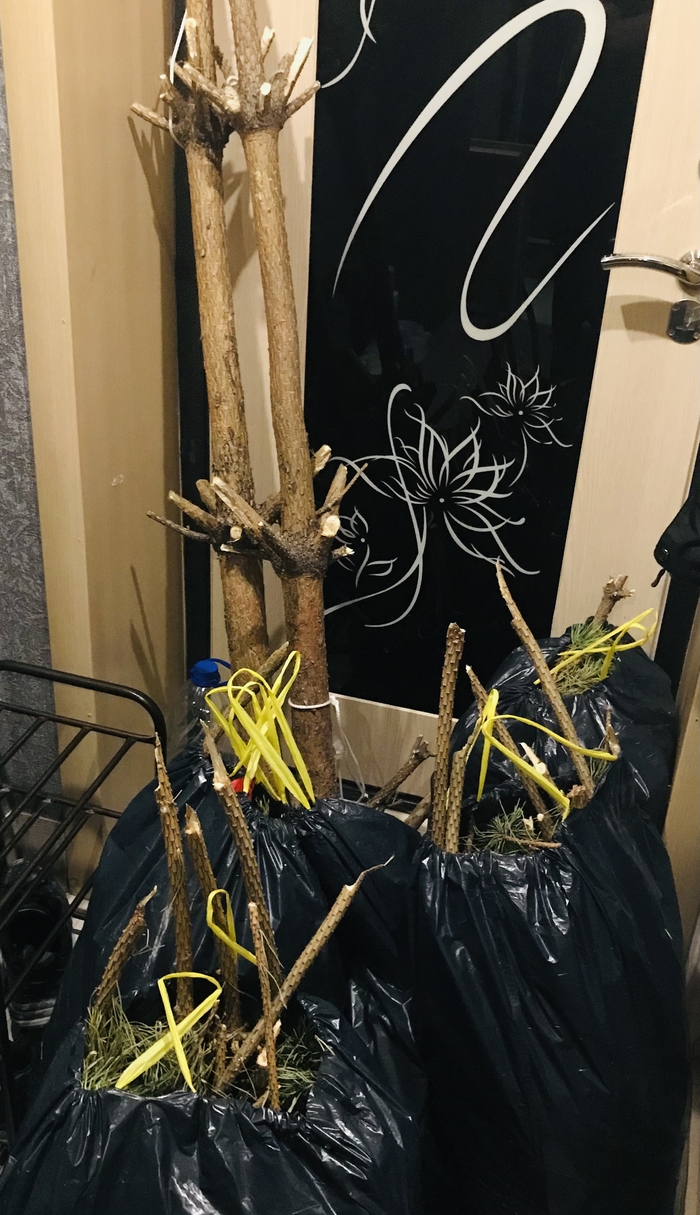 ������ ���� �� ��������