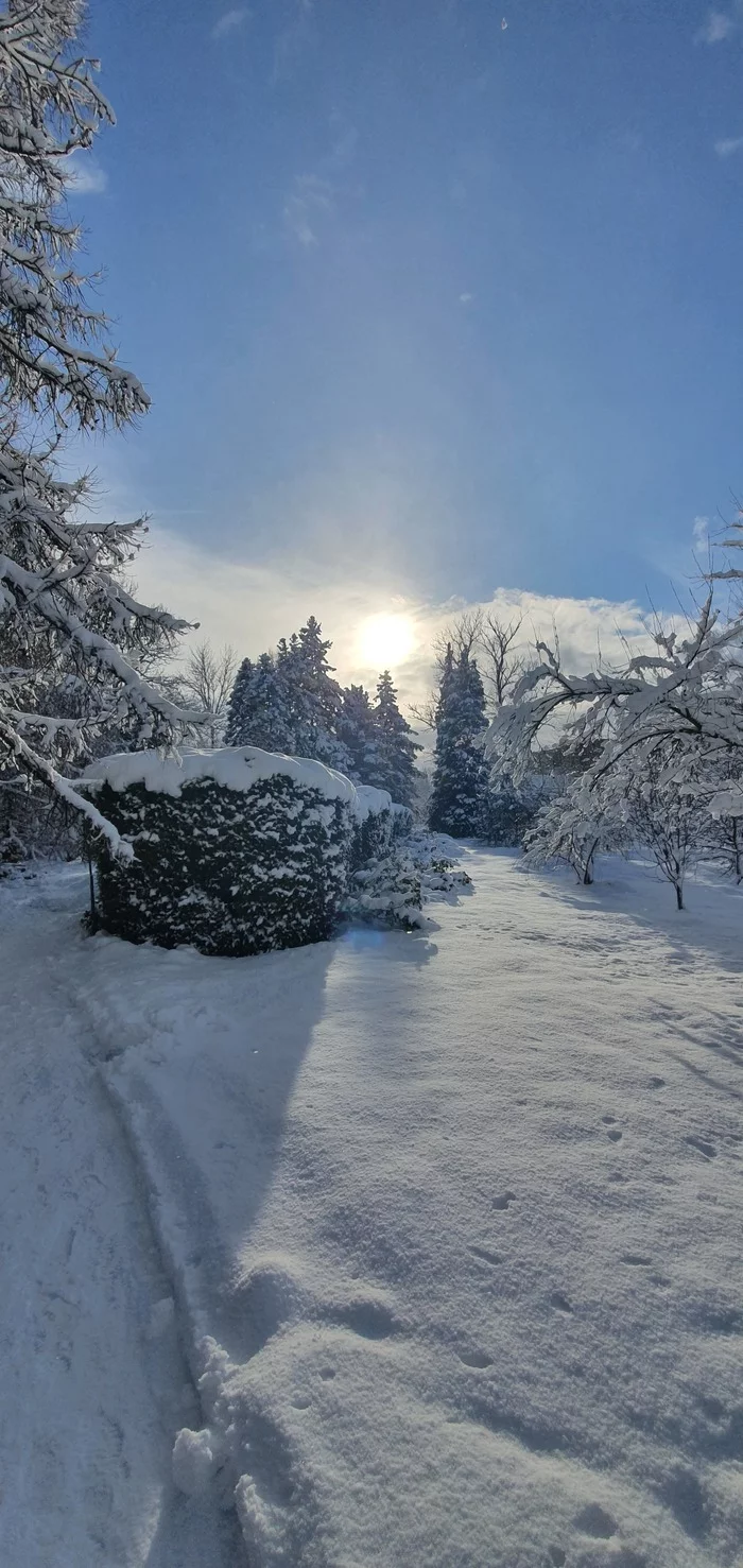 It's snowing heavily in Kaliningrad today - My, Nature, Snowfall, The sun, Winter