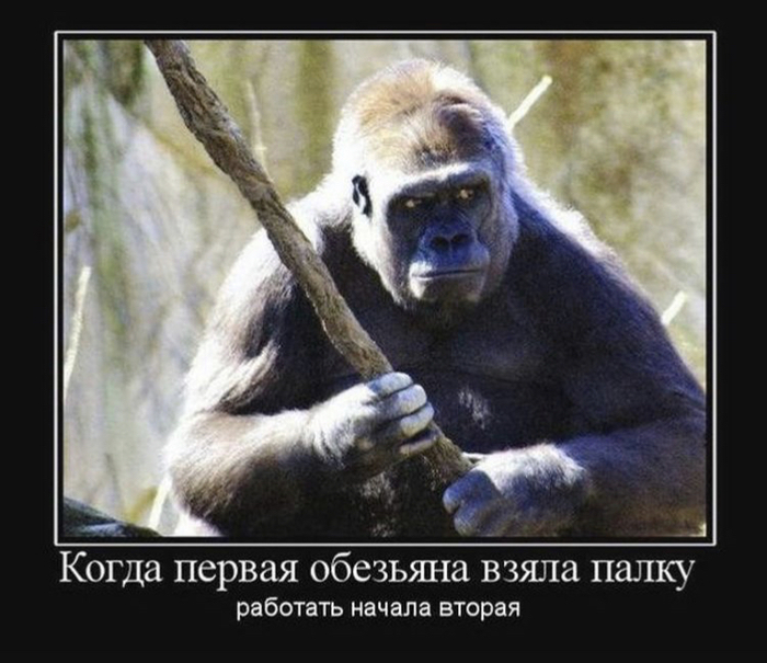 ������ ���������