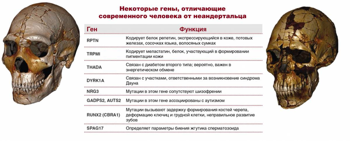 загадка что такое жизнь. Смотреть фото загадка что такое жизнь. Смотреть картинку загадка что такое жизнь. Картинка про загадка что такое жизнь. Фото загадка что такое жизнь