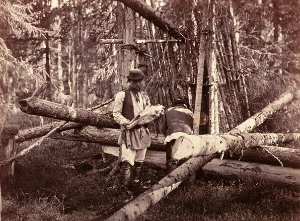 Bear hunting in Karelia in the old days - The Bears, Brown bears, Карелия, Master, Hunting, Ritual, Rogatin, Trap, Oat, Vodka, Wild animals, История России, Time is running, Longpost