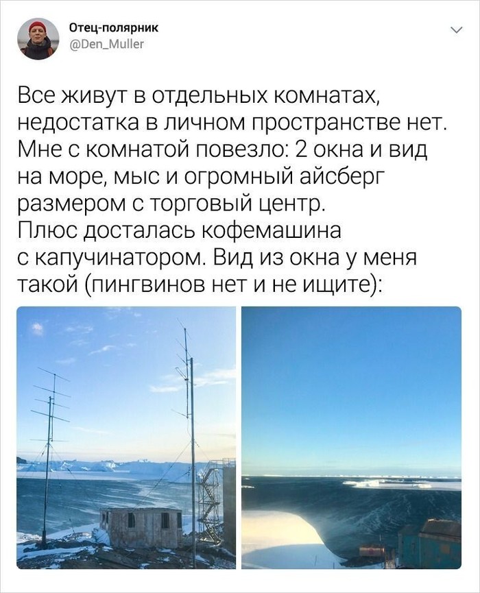 какие звуки издают пингвины слушать. Смотреть фото какие звуки издают пингвины слушать. Смотреть картинку какие звуки издают пингвины слушать. Картинка про какие звуки издают пингвины слушать. Фото какие звуки издают пингвины слушать