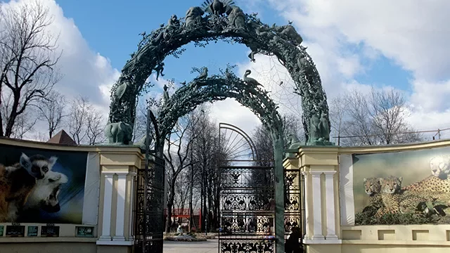 On January 31 (February 12), 1864, the Moscow Zoo opened - Pallas' cat, Small cats, Moscow Zoo, Zoo