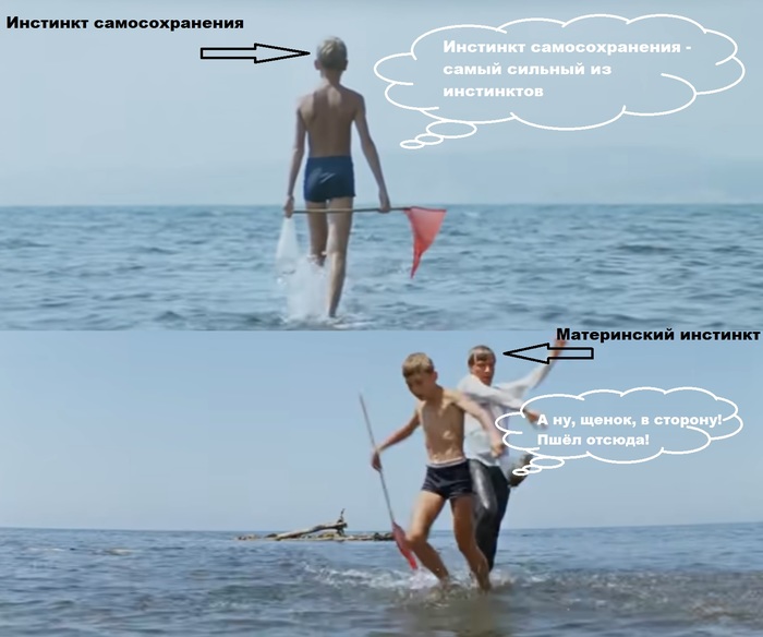 Материнский инстинкт