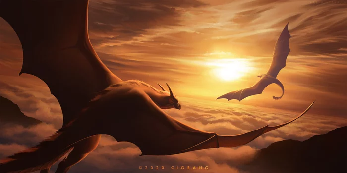 Zenith - Art, Drawing, The Dragon, Wyvern, Sunset