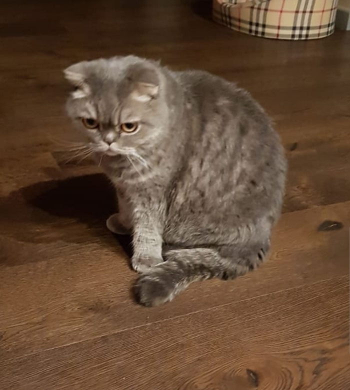    , ,  , , 