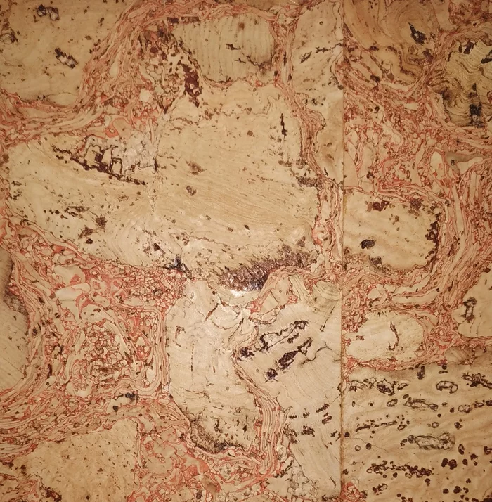 Cork wallpaper - My, Pareidolia, Cork tree, Longpost