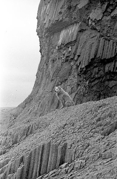 History of the USSR in photographs No. 229 - Story, The photo, A selection, Retro, the USSR, Longpost, Black and white photo, Historical photo, History of the USSR