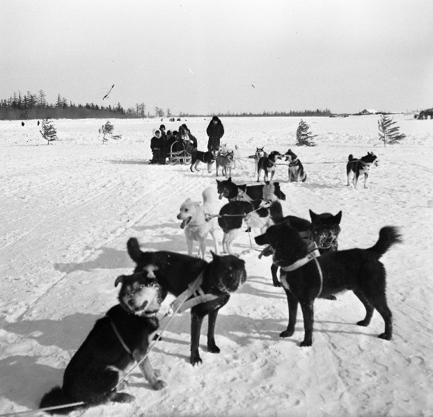 History of the USSR in photographs No. 229 - Story, The photo, A selection, Retro, the USSR, Longpost, Black and white photo, Historical photo, History of the USSR