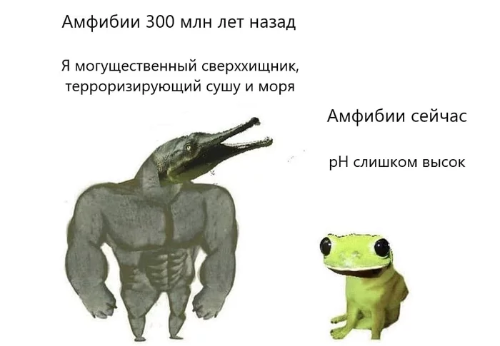 Amphibians then and amphibians now - Frogs, Biology, Paleontology, Paleojumor, Humor, Translation