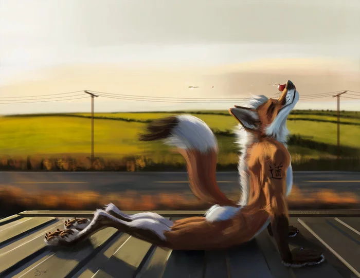 Upward Dog - Фурри, Furry Art, Furry Fox, Furry Edge, Rascheln