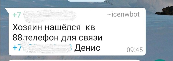 Продолжение поста «Найдена кошка, Новосибирск, Шлюз» - Моё, Найден кот, Кот, Потеряшка, Без рейтинга, В добрые руки, Новосибирск, Длиннопост, Ответ на пост