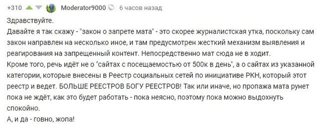 Официальная позиция администрации Пикабу по вопросу мата - Мат, Закон, Скриншот, Комментарии на Пикабу, Модератор