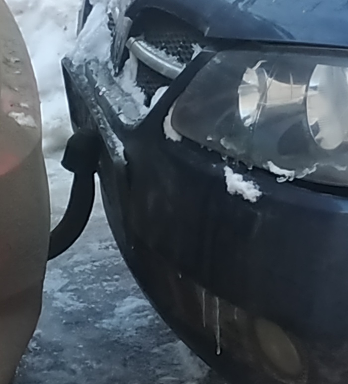 ���������� ����