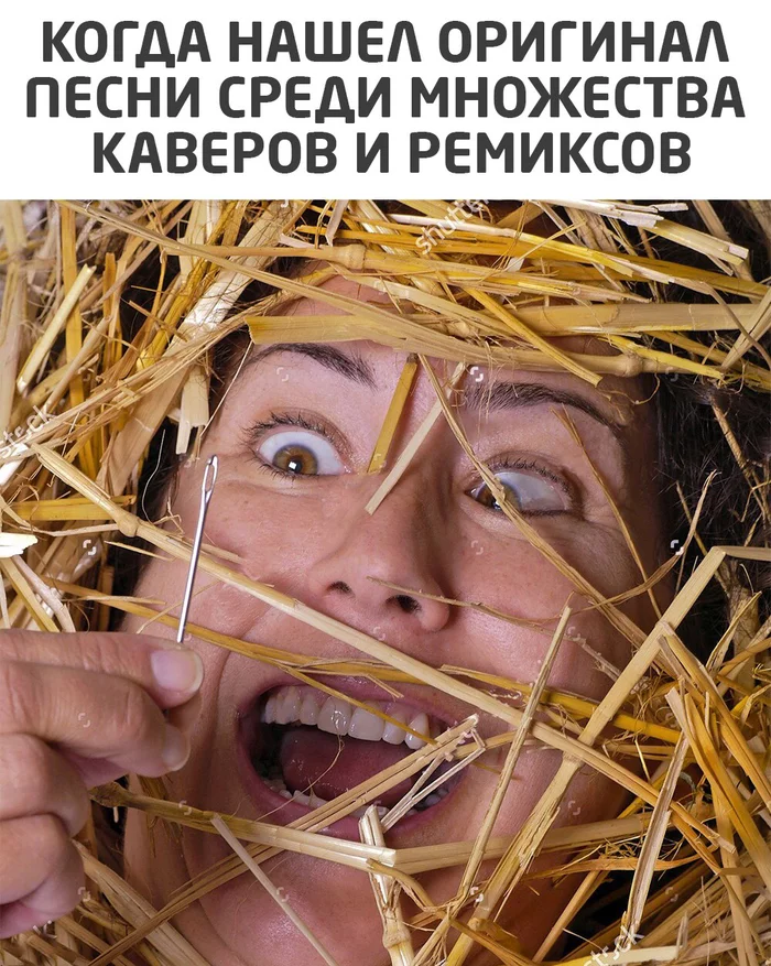 Original - Original, Needle in a haystack, Humor, Picture with text, Song