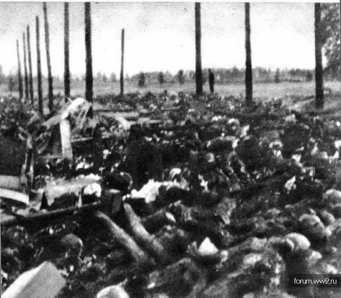 Sonderkommando 1005. Operation 1005 or exhumation operation - Story, The Second World War, The Great Patriotic War, War, The crime, the USSR, Nazism, Longpost