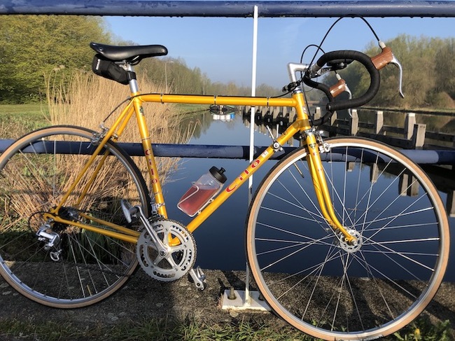 Bicycle in the Netherlands - My, A bike, Netherlands, Netherlands (Holland), Bike ride, Bike path, Longpost