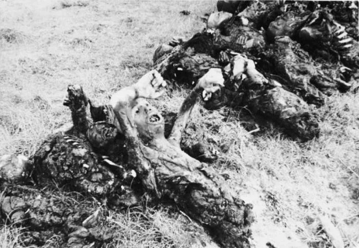 Sonderkommando 1005. Operation 1005 or exhumation operation - Story, The Second World War, The Great Patriotic War, War, The crime, the USSR, Nazism, Longpost