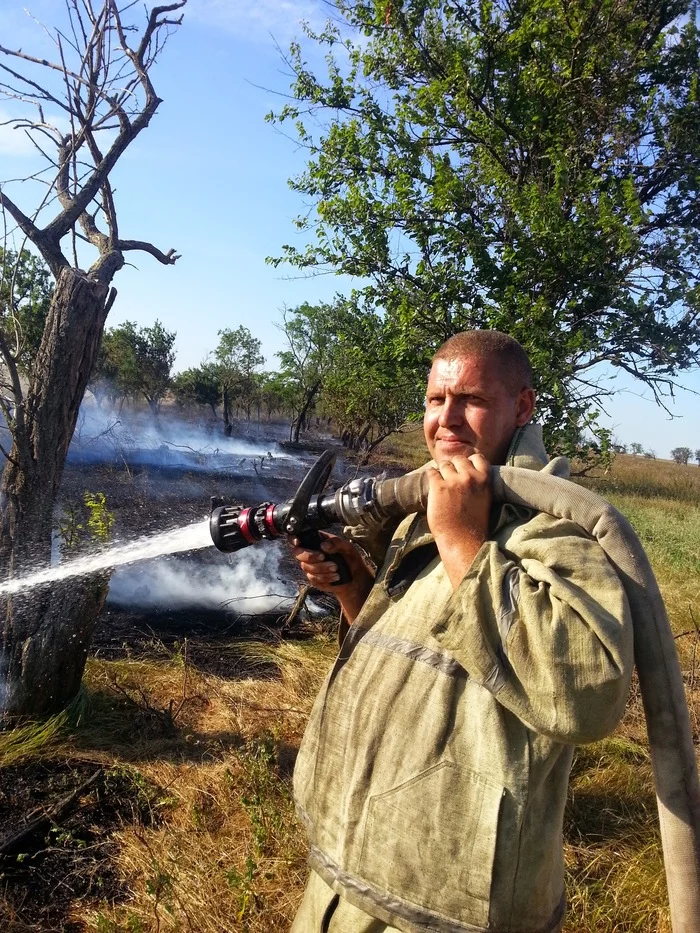 Wave about firefighters - My, Fire, Field, Firefighters, Video, Longpost, Vertical video, A wave of posts