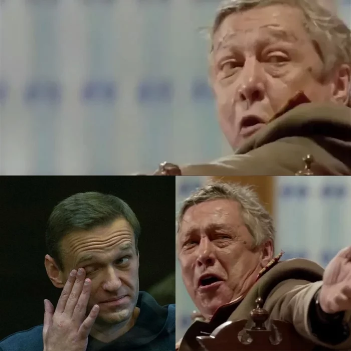 The court's decision - My, Alexey Navalny, Prisoners, Mikhail Efremov, Humor, Politics, The photo, The court's decision