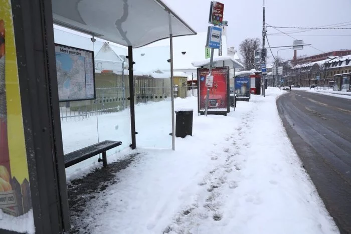 Vice-Mayor of Tallinn - for elderly people who find it difficult to walk between the snow rubble: order a taxi! - Estonia, Tallinn, Snow, Longpost