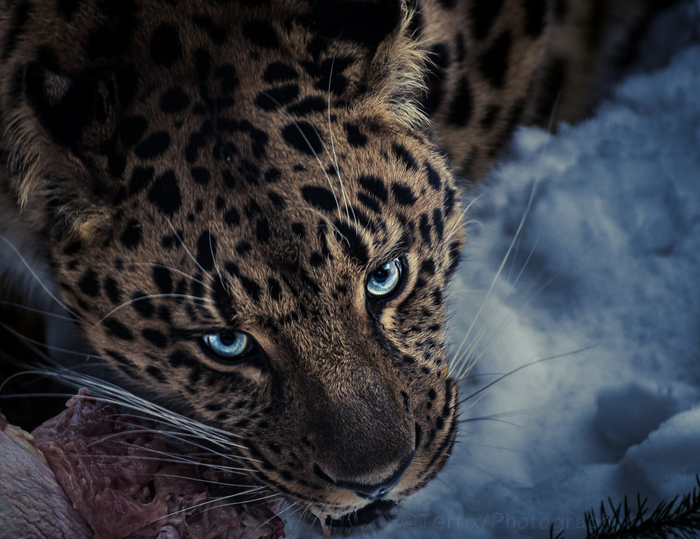   ,  ,  ,  , The National Geographic, , 
