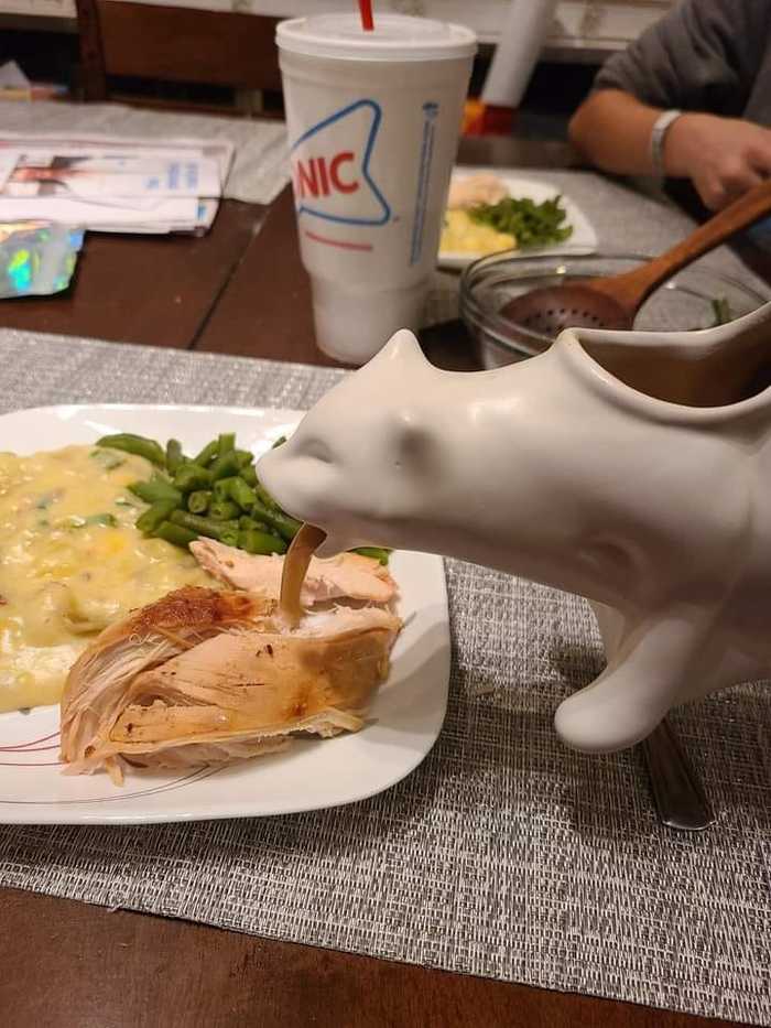 Thanks for the gravy boat, grandma. - cat, Saucepan