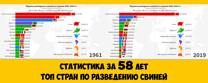 Страны-лидеры по количеству Свиней. Мировая статистика (1961-2019) - Моё, Статистика, Инфографика, Сельское хозяйство, Свинья, Животные, Свиноводство, Видео