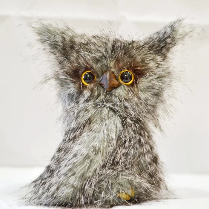 Fish owl - My, Needlework without process, Owl, Owl, Toys, Soft toy, With your own hands, Longpost