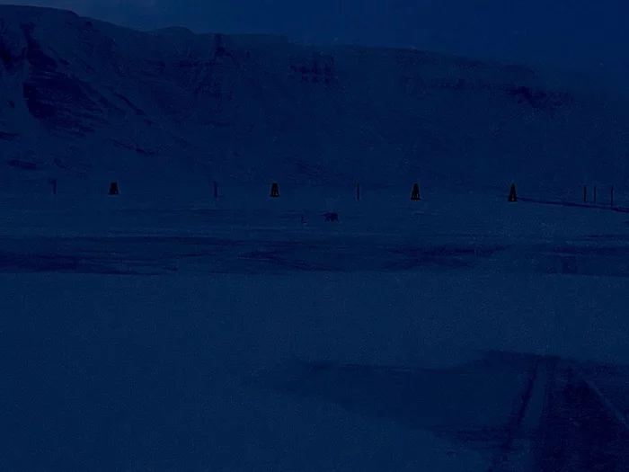 Арктический Архипелаг Шпицберген. Безопасное обращение с медведями Шпицберген, Арктика, Медведи, Белый медведь, Оружие, Видео, Длиннопост Арктический Архипелаг Шпицберген. Безопасное обращение с медведями Шпицберген, Арктика, Медведи, Белый медведь, Оружие, Видео, Длиннопост