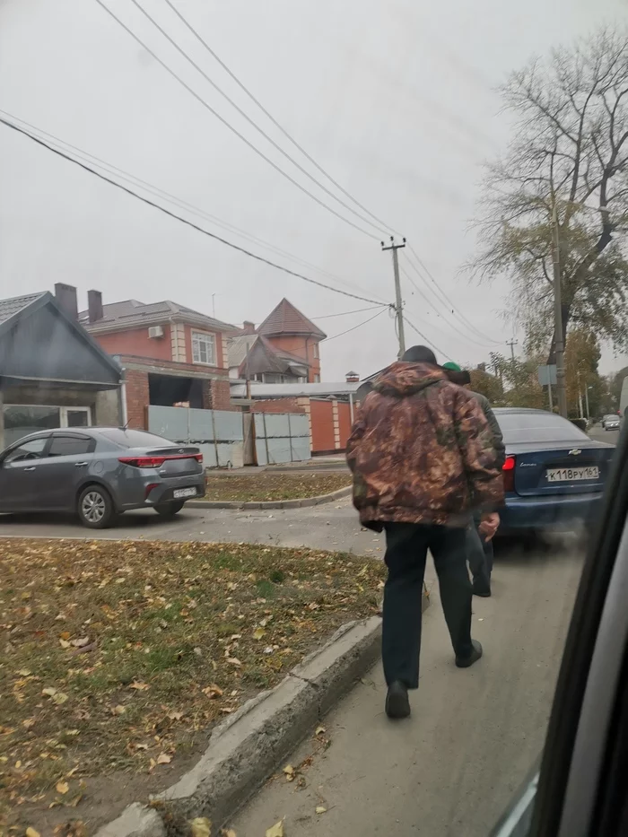 Inadequate on the roads - My, Rostov-on-Don, Autoham, Cattle, Longpost