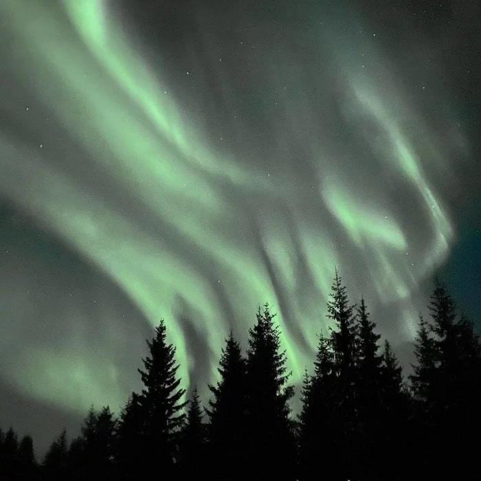 Northern Lights in Northern Norway - My, Norway, Nature, Mobile photography, Longpost