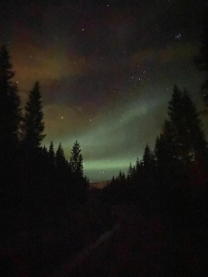 Northern Lights in Northern Norway - My, Norway, Nature, Mobile photography, Longpost