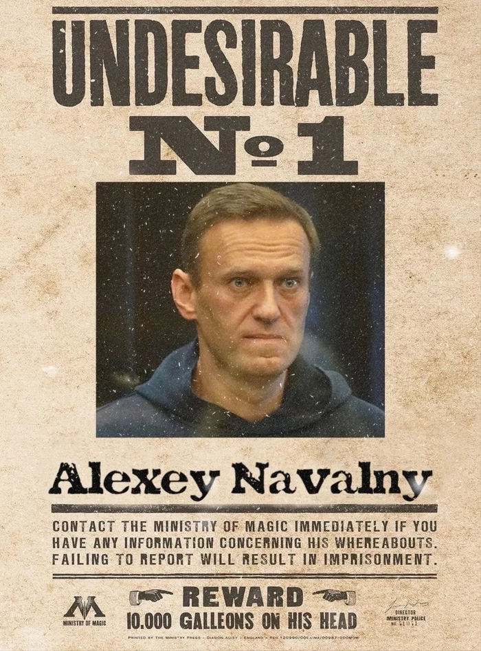 Undesirable person - My, Harry Potter, Politics, Alexey Navalny