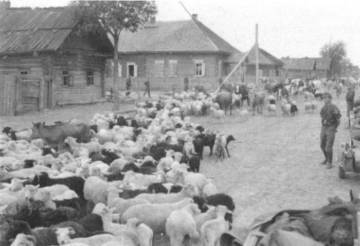The concept of Dead zones. German strategic concept 1943/44 - Story, Nazism, The crime, Third Reich, the USSR, War, The Great Patriotic War, The Second World War, Video, Longpost, Adolf Gitler