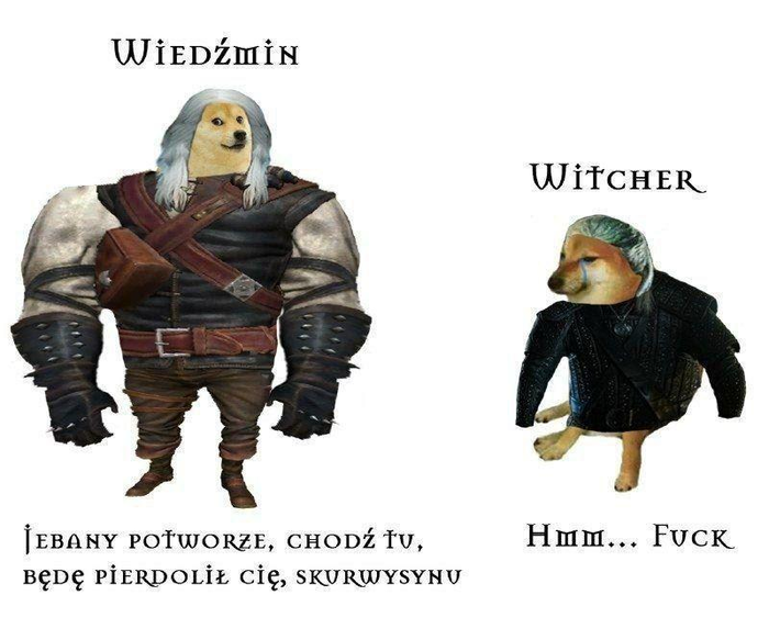 Witcher VS Wiedmin