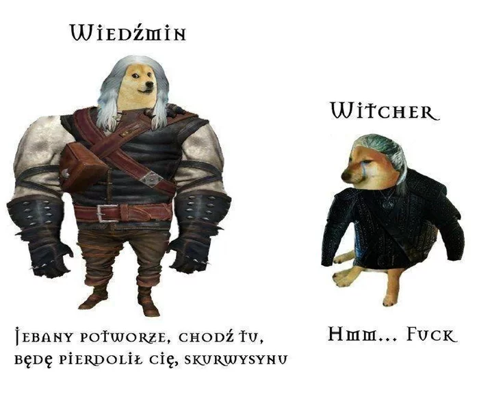 Witcher VS Wiedmin - Мемы, Ведьмак, Сериал Ведьмак, Doge, Польский язык, Английский язык, Геральт из Ривии