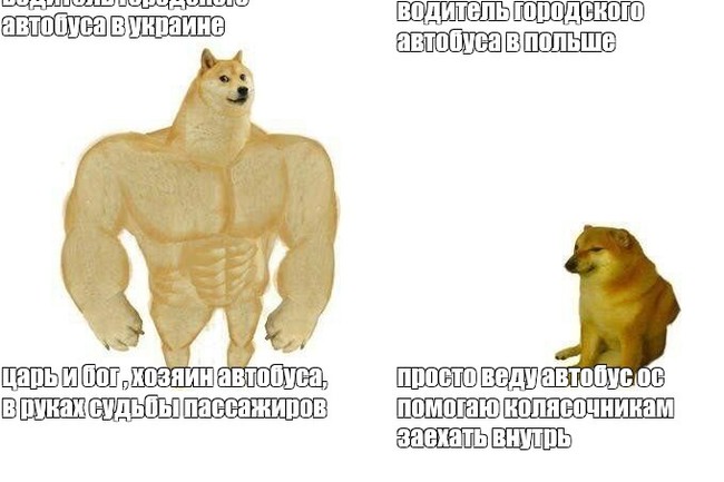   ,   