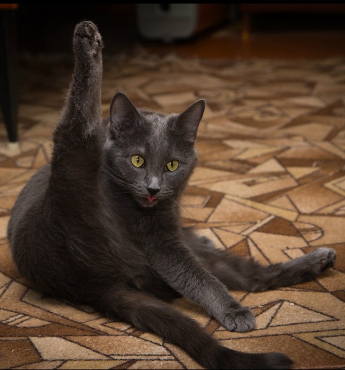 ���� �� �������