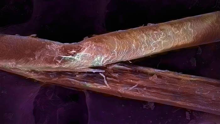 Как волосы секутся