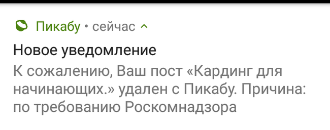 Удалили пост... - Моё, Роскомнадзор, Удаление постов на Пикабу, Кардинг, Vipman84