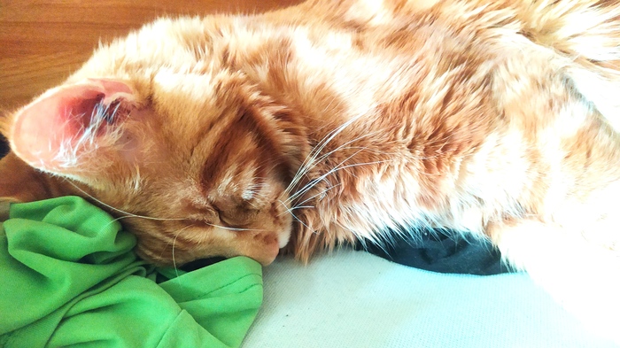 �������� ��������� ���