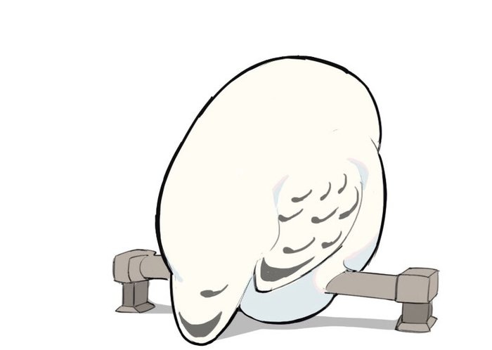     , , ,   , 