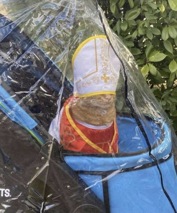 Римско-котолический епискот